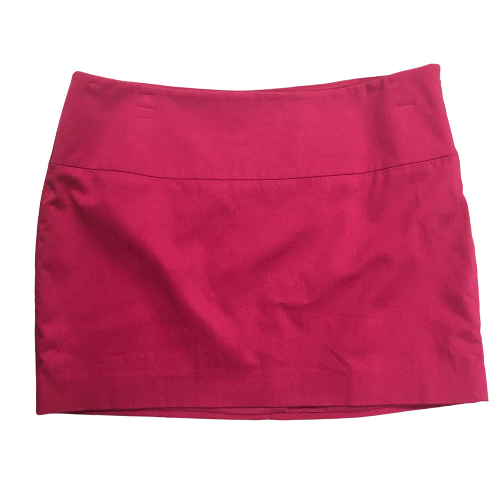 Express Design Studio Mini Skirt Lined Pink 6
